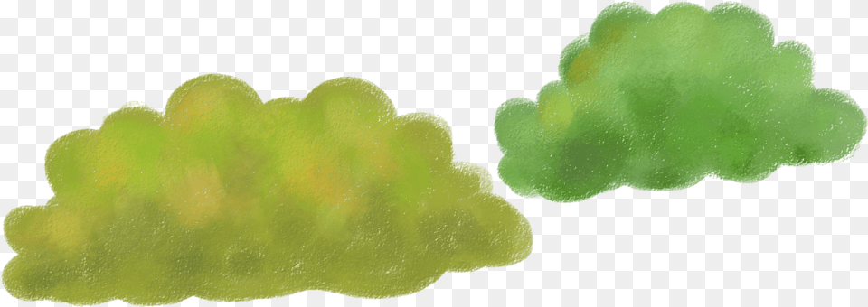 Transparent Bush Transparent Cartoon Bush, Green, Moss, Plant, Accessories Free Png Download