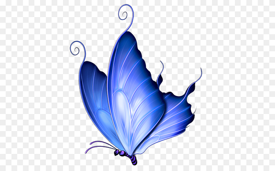 Transparent Butterflies Clip Art, Graphics, Floral Design, Leaf, Pattern Png Image