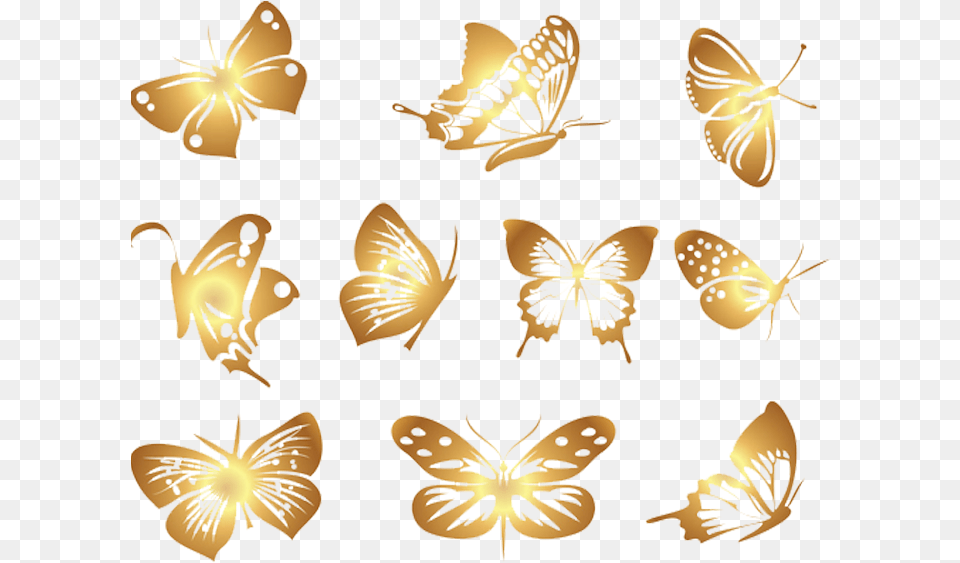 Transparent Butterflies Clipart Butterfly Vector Animal, Insect, Invertebrate Free Png Download