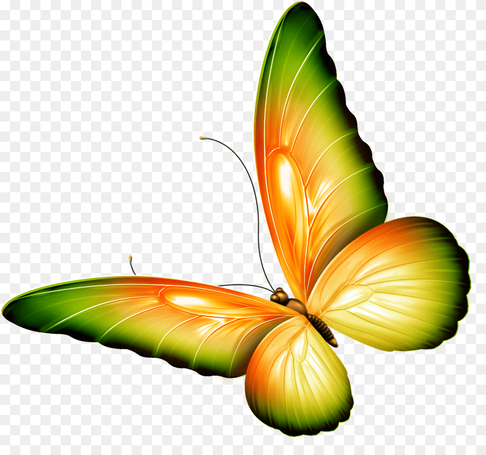 Transparent Butterfly Clip Art, Graphics, Animal, Insect, Invertebrate Free Png