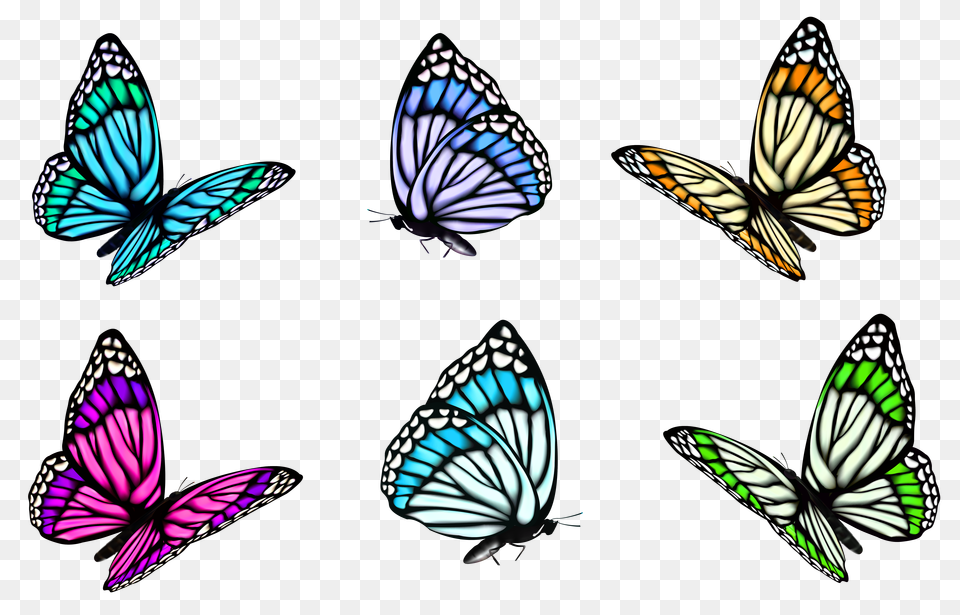 Transparent Butterfly Clipart Free Png Download