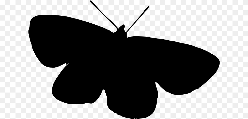 Transparent Butterfly Clipart Black And White Brush Footed Butterfly, Gray Png