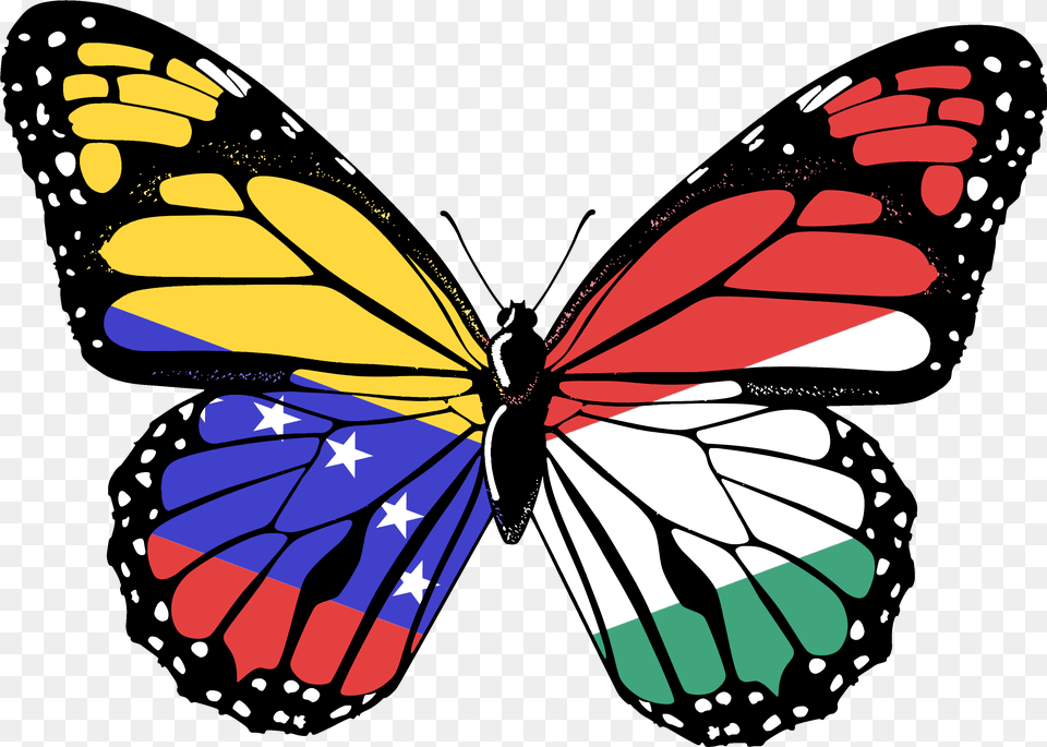 Transparent Butterfly Hd, Animal, Insect, Invertebrate, Monarch Free Png Download