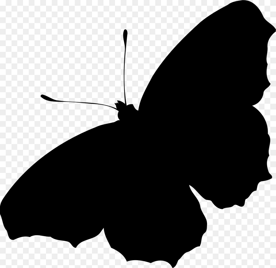 Transparent Butterfly Silhouette Clipart Butterfly Silhouette Transparent, Gray Png