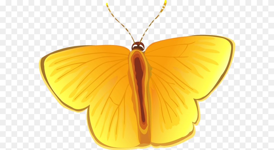 Transparent Butterfly Vector Locket, Animal, Insect, Invertebrate, Moth Png Image