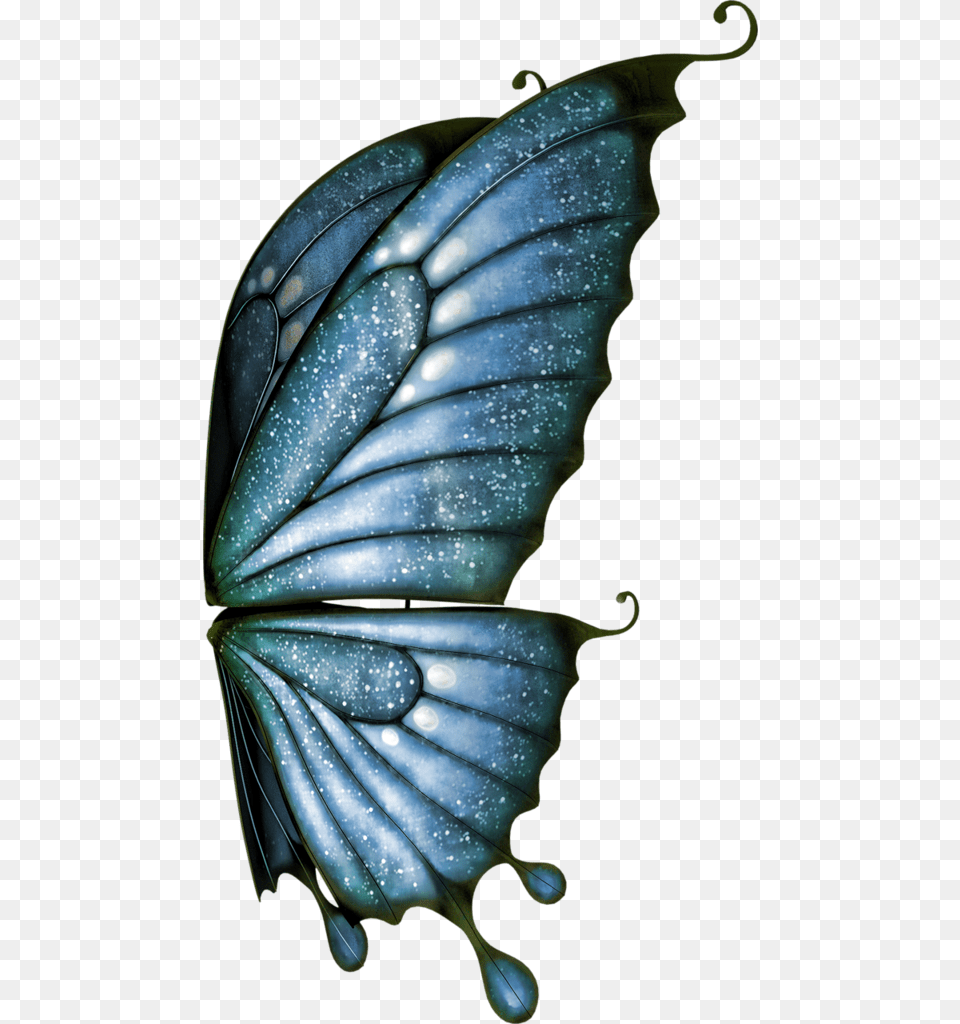 Transparent Butterfly Wings, Accessories, Pattern, Ornament, Animal Free Png