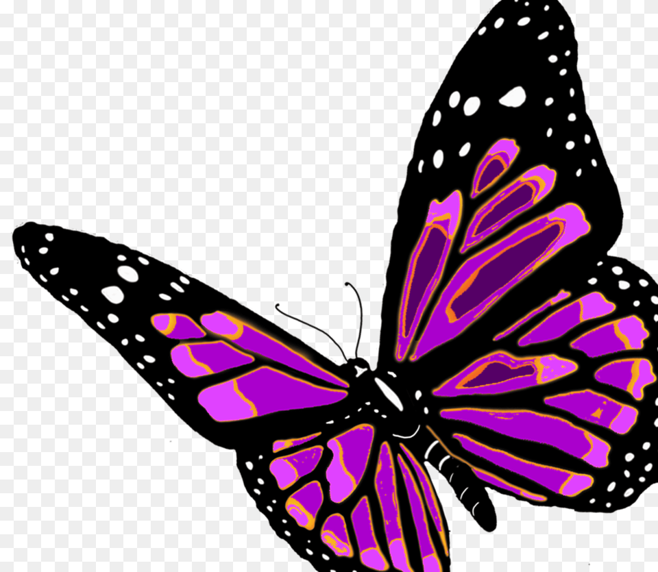 Transparent Butterfly Woman Clipart Orange Butterfly Transparent Background, Purple, Animal, Insect, Invertebrate Png