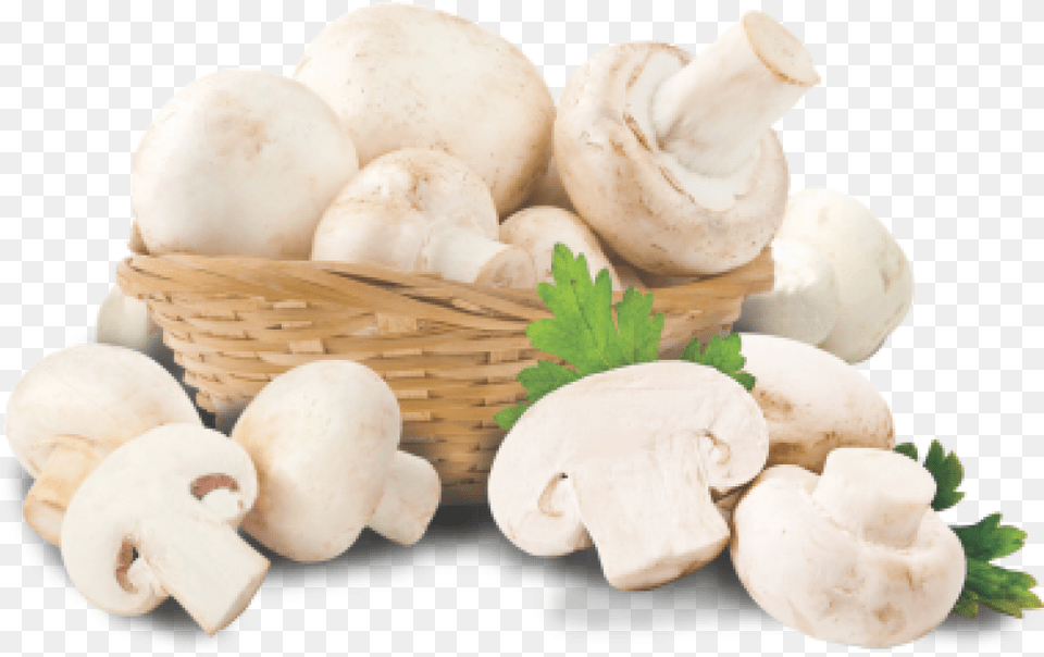 Transparent Button Mushroom, Fungus, Plant, Agaric Png Image