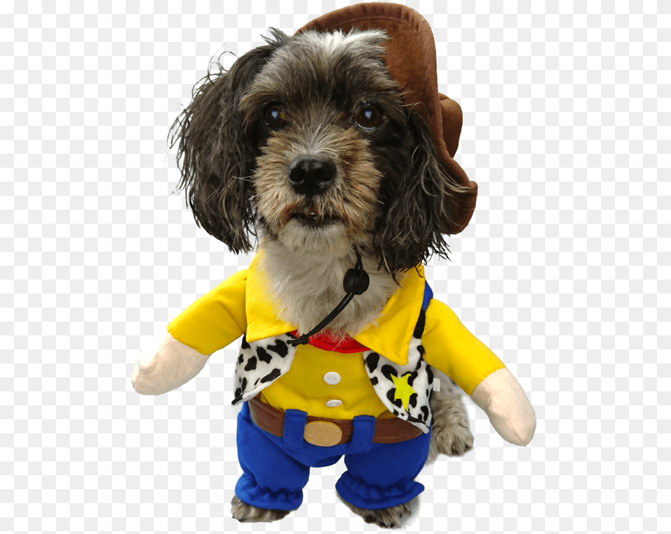 Transparent Buzz And Woody Woody Costume For Dog, Animal, Canine, Mammal, Pet Free Png