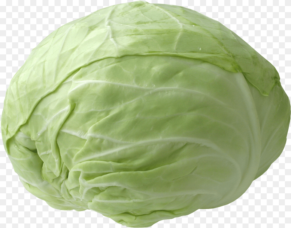 Cabbage, Food, Leafy Green Vegetable, Plant, Produce Free Transparent Png