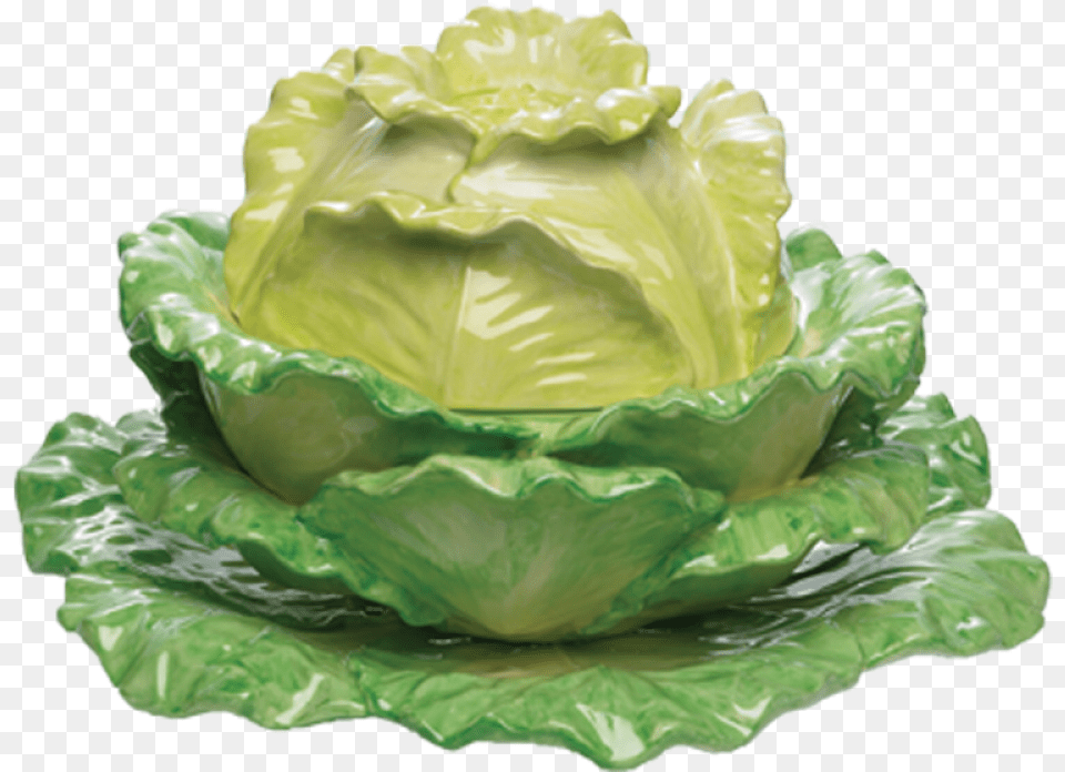 Transparent Cabbage Cabbage, Food, Produce, Plant, Leafy Green Vegetable Free Png Download