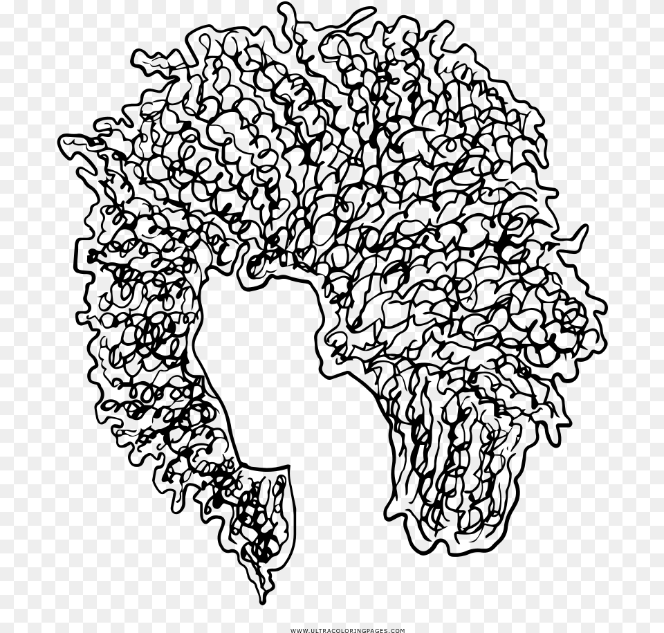 Transparent Cabelo Cabelos Afros Como Desenhar, Gray Free Png