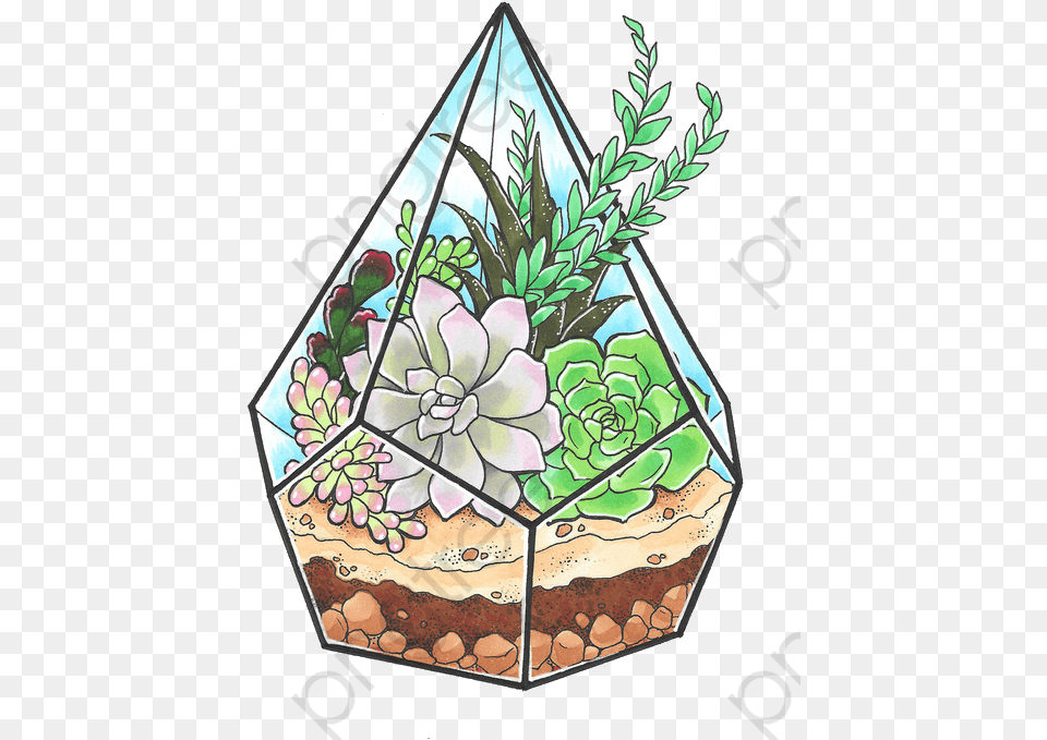 Cactus Clip Art Cactus And Succulents Cartoon, Nature, Garden, Outdoors, Potted Plant Free Transparent Png