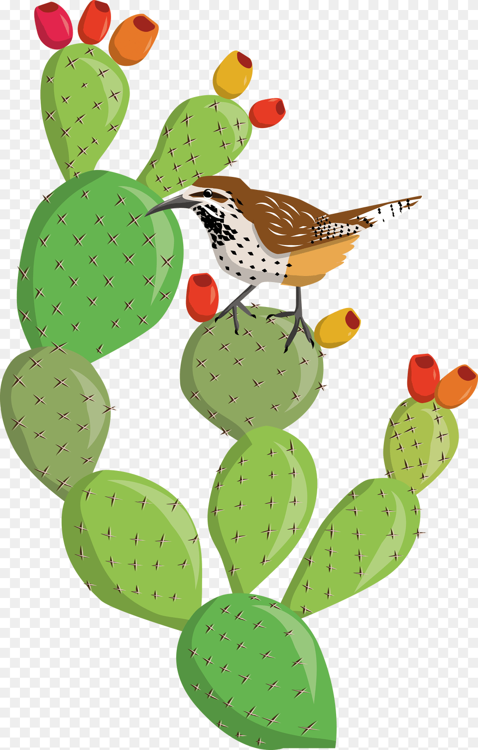 Transparent Cactus Flower Clipart Prickly Pear Cactus Clipart, Animal, Bird, Wren, Plant Free Png