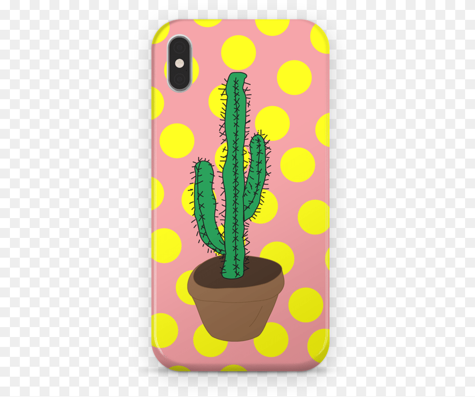 Cactus Mexicano, Pattern, Plant, Person Free Transparent Png