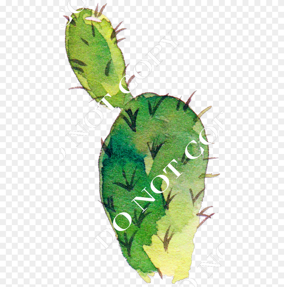 Transparent Cactus Silhouette Illustration, Plant, Person Png