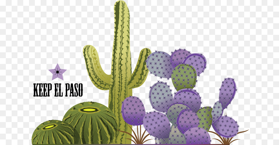 Cactus Vector Prickly Pear, Plant Free Transparent Png