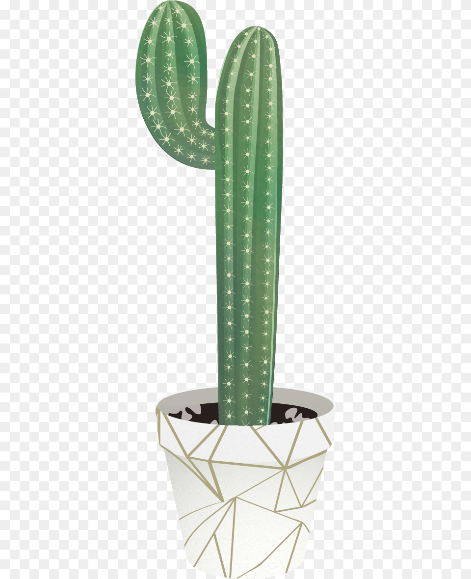 Transparent Cactus Vector San Pedro Cactus, Plant Png Image