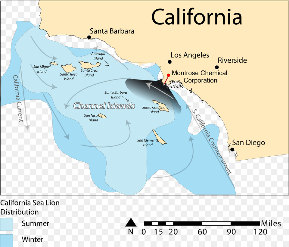 Transparent California Outline California Sea Lion Map, Plot, Chart, Atlas, Diagram Png Image