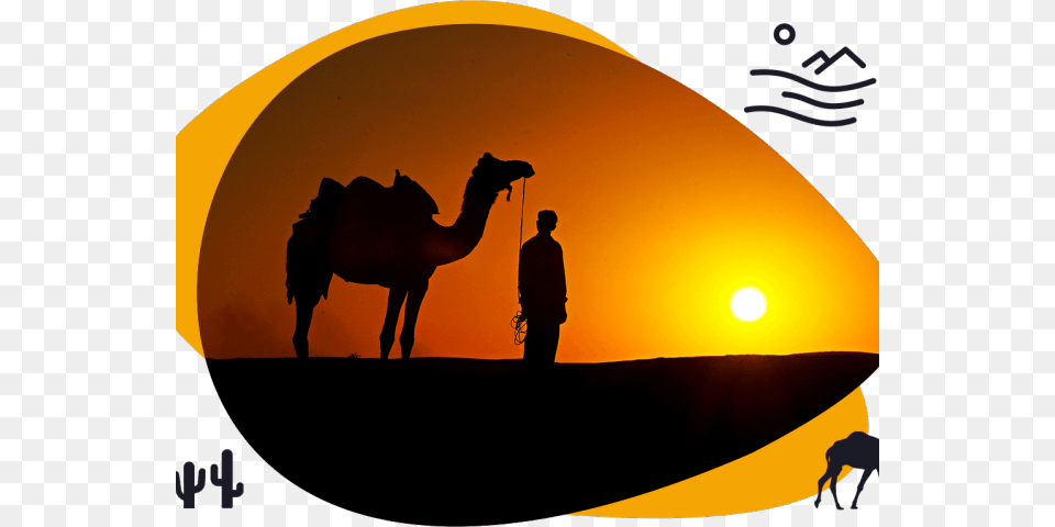 Transparent Camels Clipart Desert Safari Clipart, Person, Silhouette, Animal, Camel Free Png Download