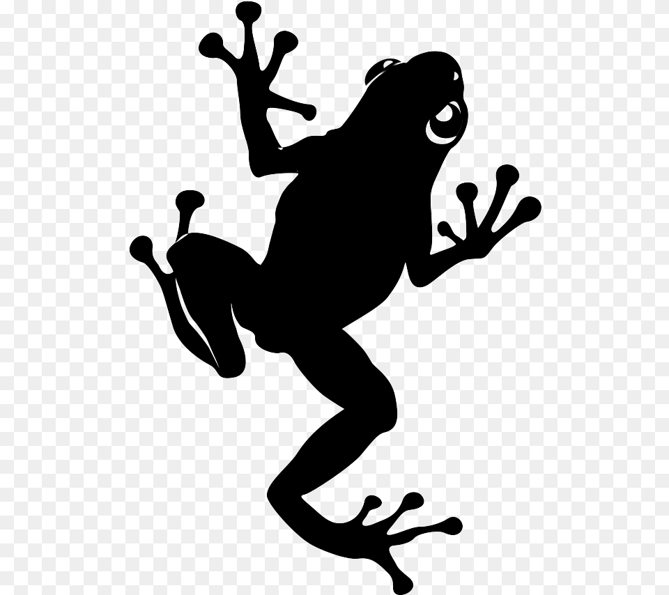 Transparent Camera Silhouette True Frog, Clothing, Footwear, Shoe, Sneaker Png