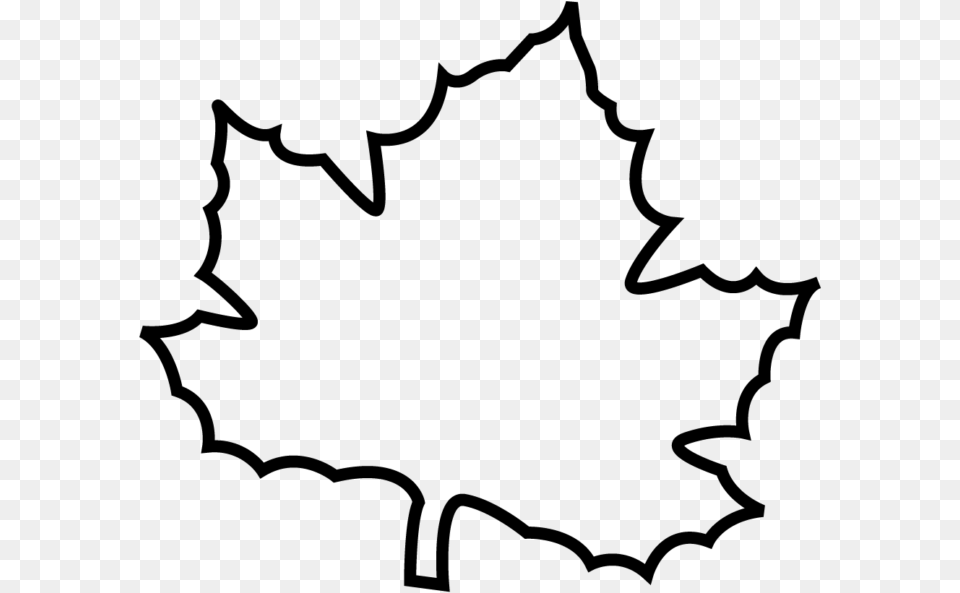 Transparent Canada Maple Leaf, Gray Free Png Download