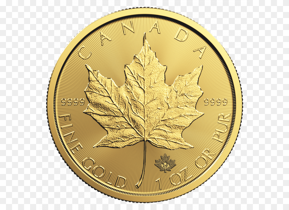 Transparent Canadian Maple Leaf 2019 Gold Maple Leaf Coin, Plant, Wristwatch, Money Png Image