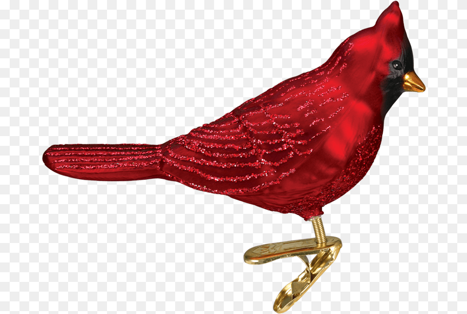 Transparent Cardinal Bird Northern Cardinal, Animal, Beak Free Png Download