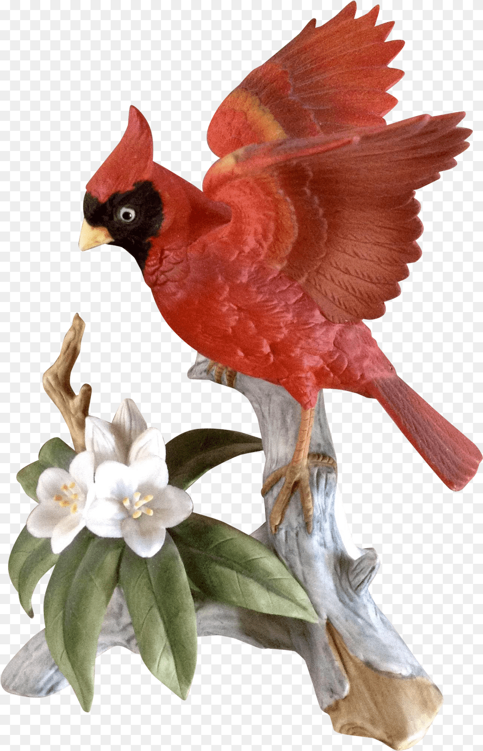Transparent Cardinal Bird Vintage Bird With Red Flowers, Animal, Beak, Flower, Plant Png