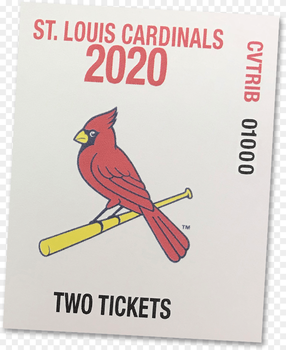 Cardinal Clipart St Louis Cardinals, Animal, Bird Free Transparent Png
