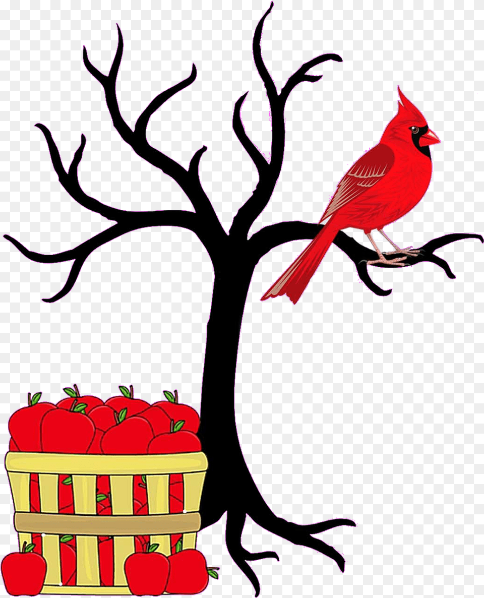 Transparent Cardinal On Branch Clipart Hunger Games Quotes, Animal, Bird Free Png