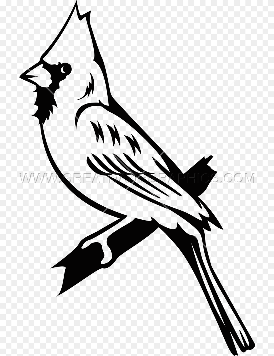 Cardinals Cardinal Black And White, Bow, Weapon, Animal, Bird Free Transparent Png