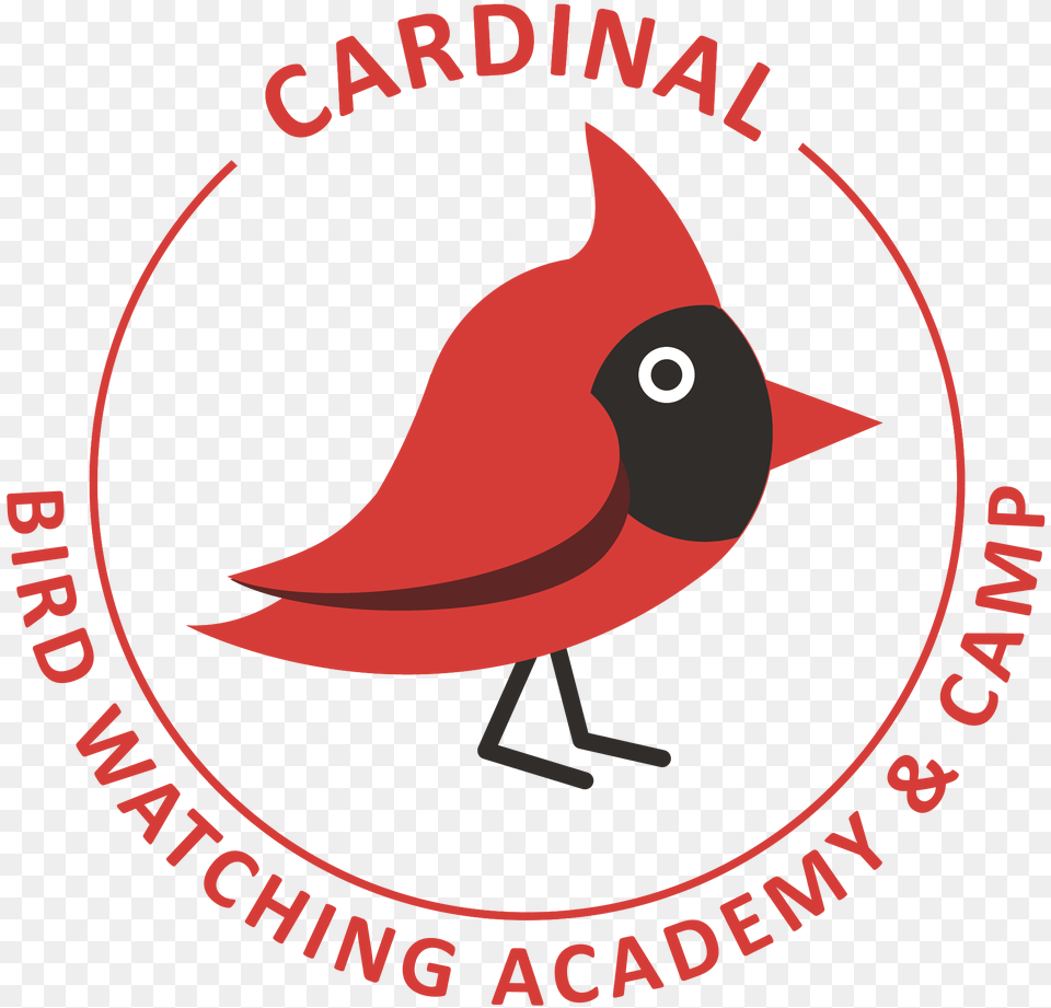 Cardinals Map, Animal, Beak, Bird, Cardinal Free Transparent Png