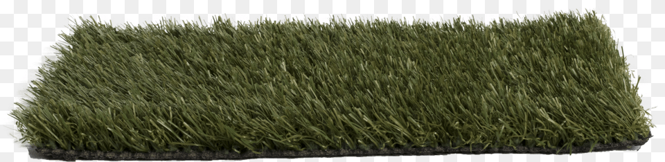 Transparent Carpet Roll Lawn, Grass, Home Decor, Plant, Vegetation Free Png Download