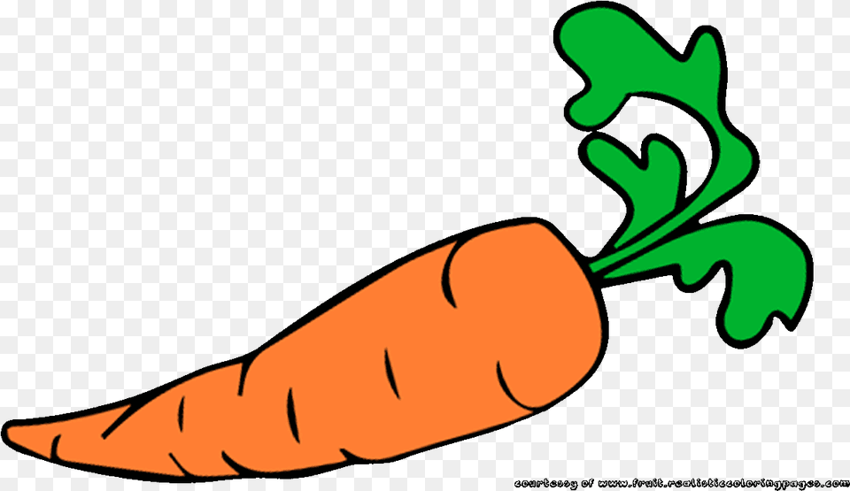 Transparent Carrot Clipart Carrot Clipart, Food, Plant, Produce, Vegetable Png Image