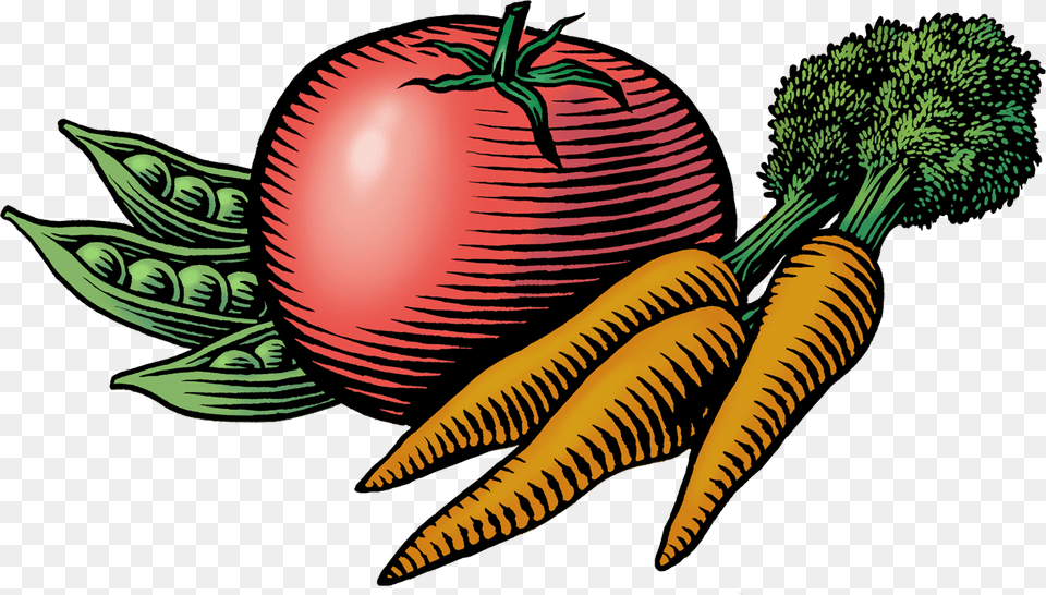 Transparent Carrot Clipart Farmers Market Images Clip Art, Food, Plant, Produce, Vegetable Free Png Download