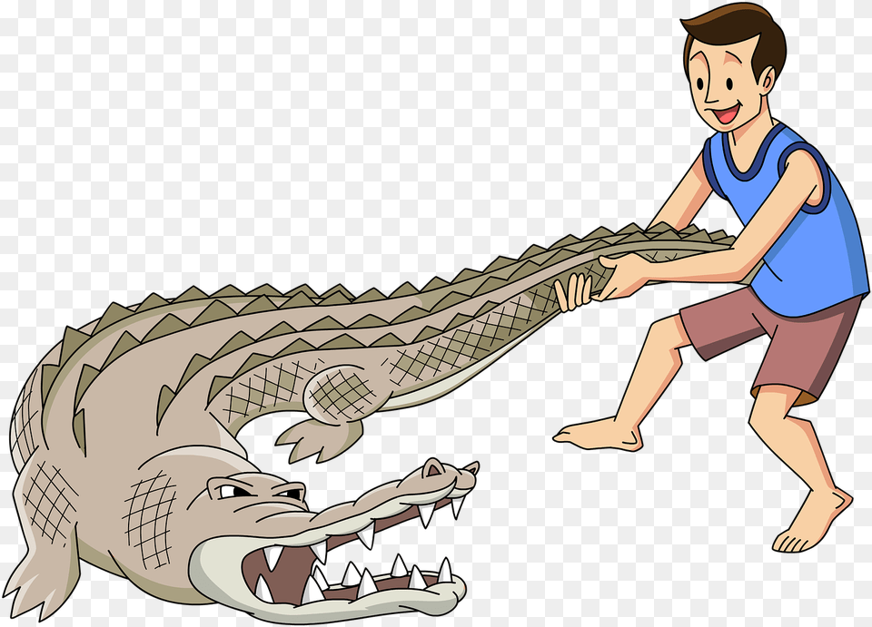 Transparent Cartoon Alligator Alligators, Person, Face, Head, Animal Free Png Download