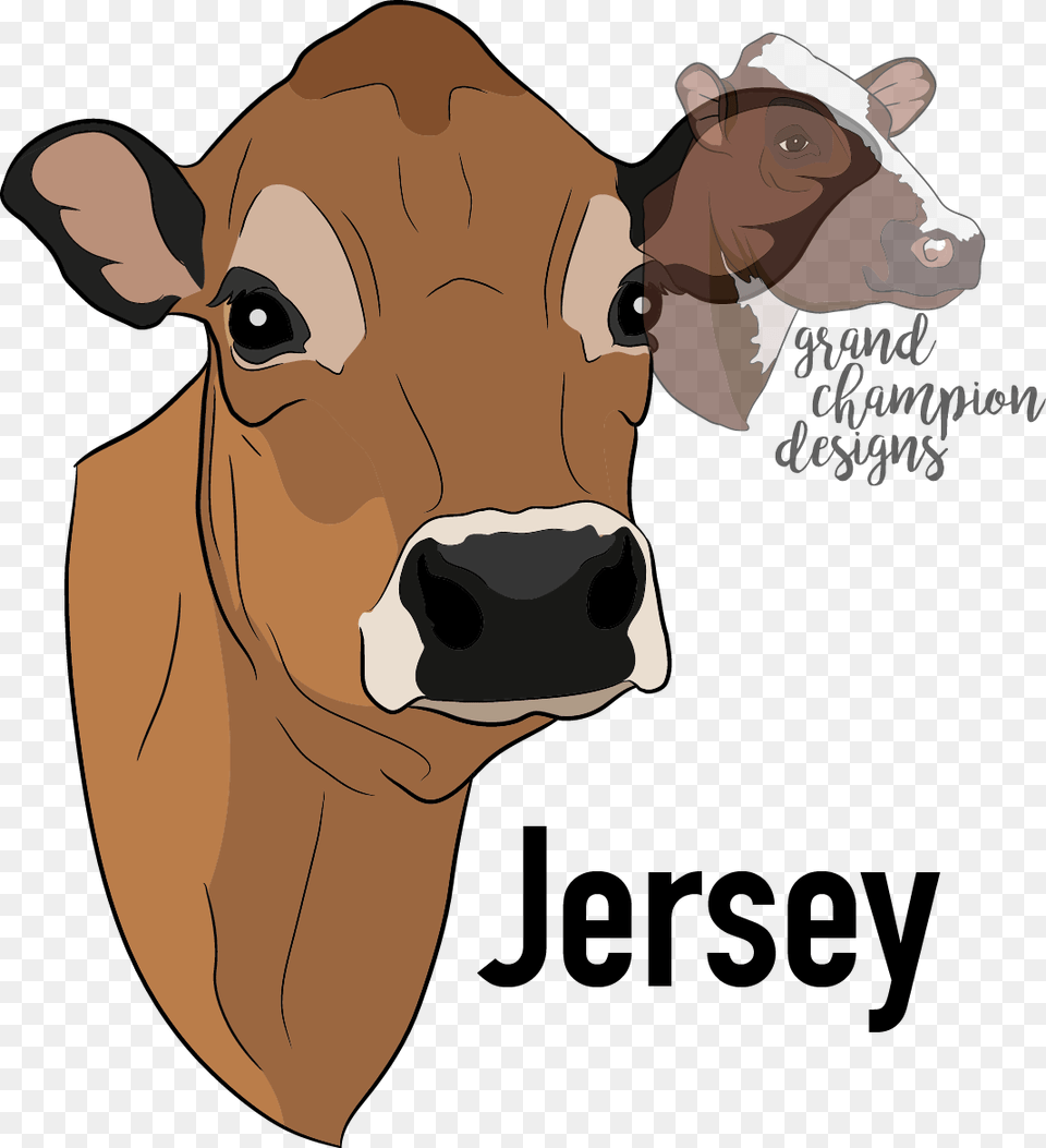 Transparent Cartoon Cow Jersey Cow Head Clip Art, Animal, Cattle, Livestock, Mammal Free Png Download