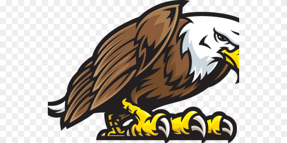 Transparent Cartoon Eagle Eagle Mascot, Animal, Bird, Beak, Person Free Png