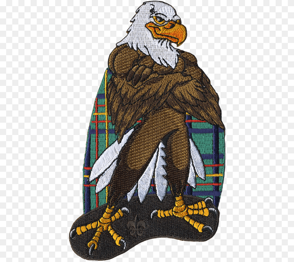 Cartoon Eagle Illustration, Animal, Bird, Art, Adult Free Transparent Png