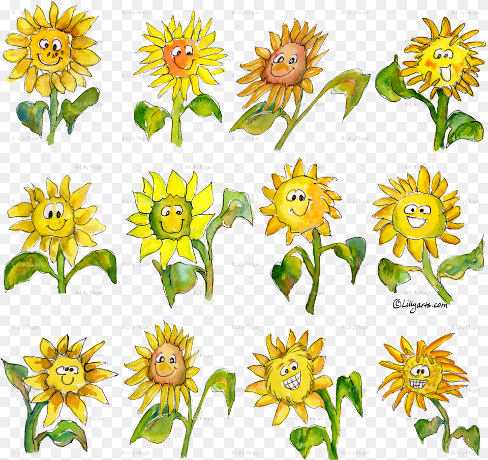 Cartoon Flowers Clipart Cartoon, Sunflower, Plant, Flower, Petal Free Transparent Png