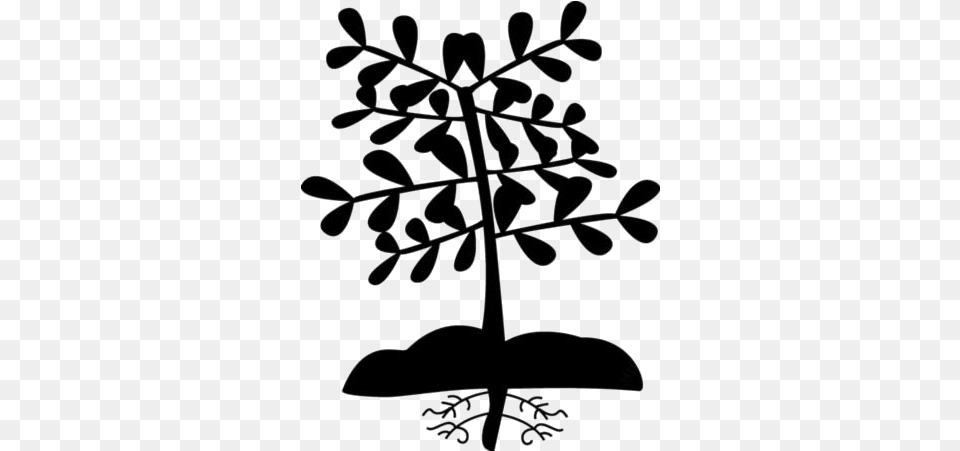 Transparent Cartoon Plant With Roots Plant Roots Clipart Transparent, Leaf, Stencil, Ammunition, Grenade Png