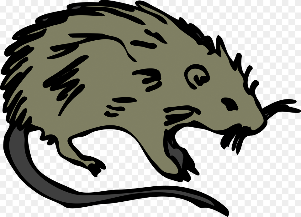 Cartoon Rat Cartoon The Black Death Rats, Baby, Person, Animal, Mammal Free Transparent Png