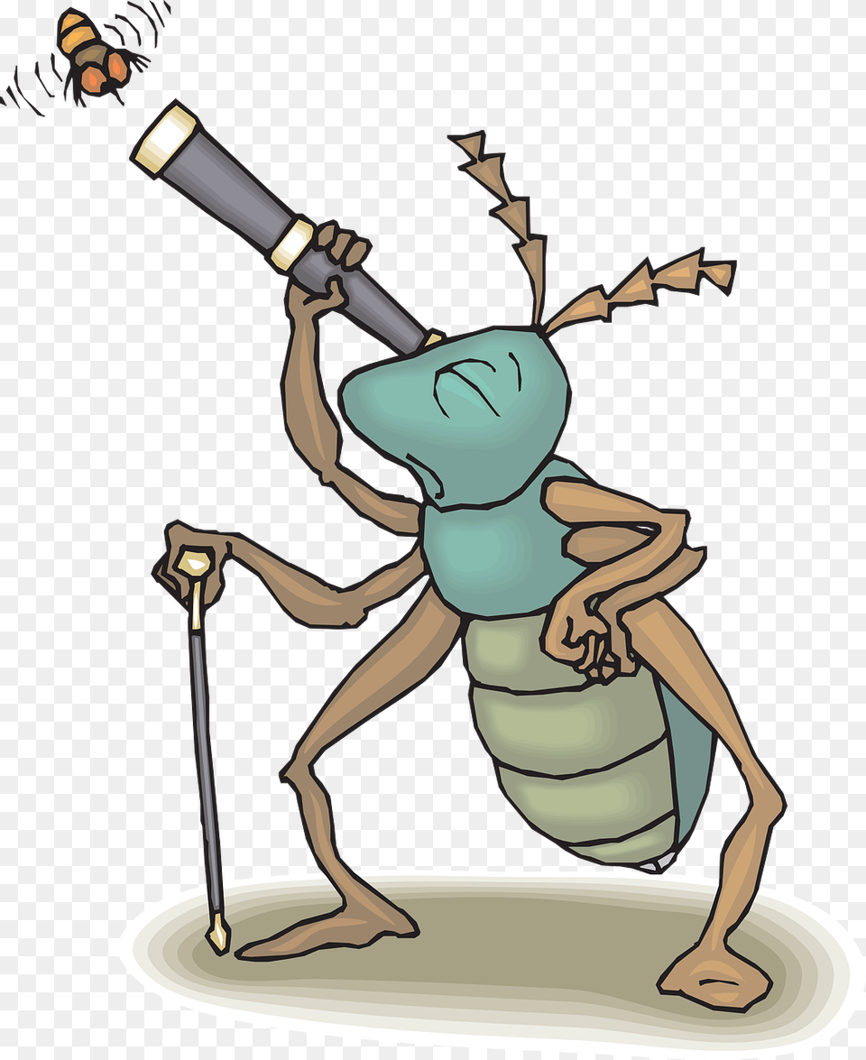 Transparent Cartoon Telescope, Person, Animal, Bee, Insect Free Png Download