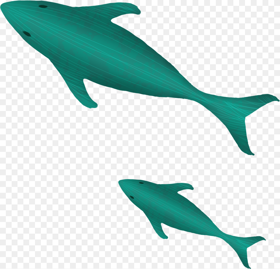 Transparent Cartoon Whale Animal Figure, Fish, Sea Life, Dolphin, Mammal Free Png