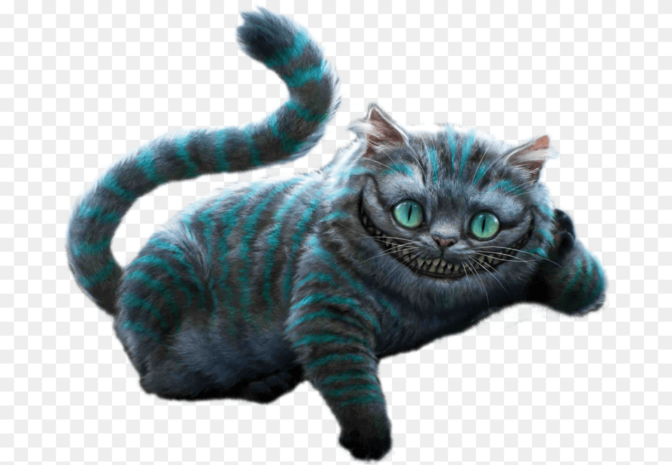 Transparent Cat Cat Alice In Wonderland, Animal, Mammal, Pet Free Png Download