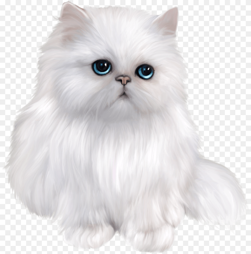 Cat Clipart Persian Cat Clipart, Angora, Animal, Mammal, Pet Free Transparent Png