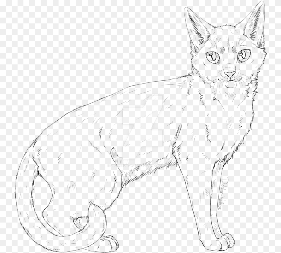 Transparent Cat Drawing Realistic Cat Lineart, Logo, Symbol, Text Png Image