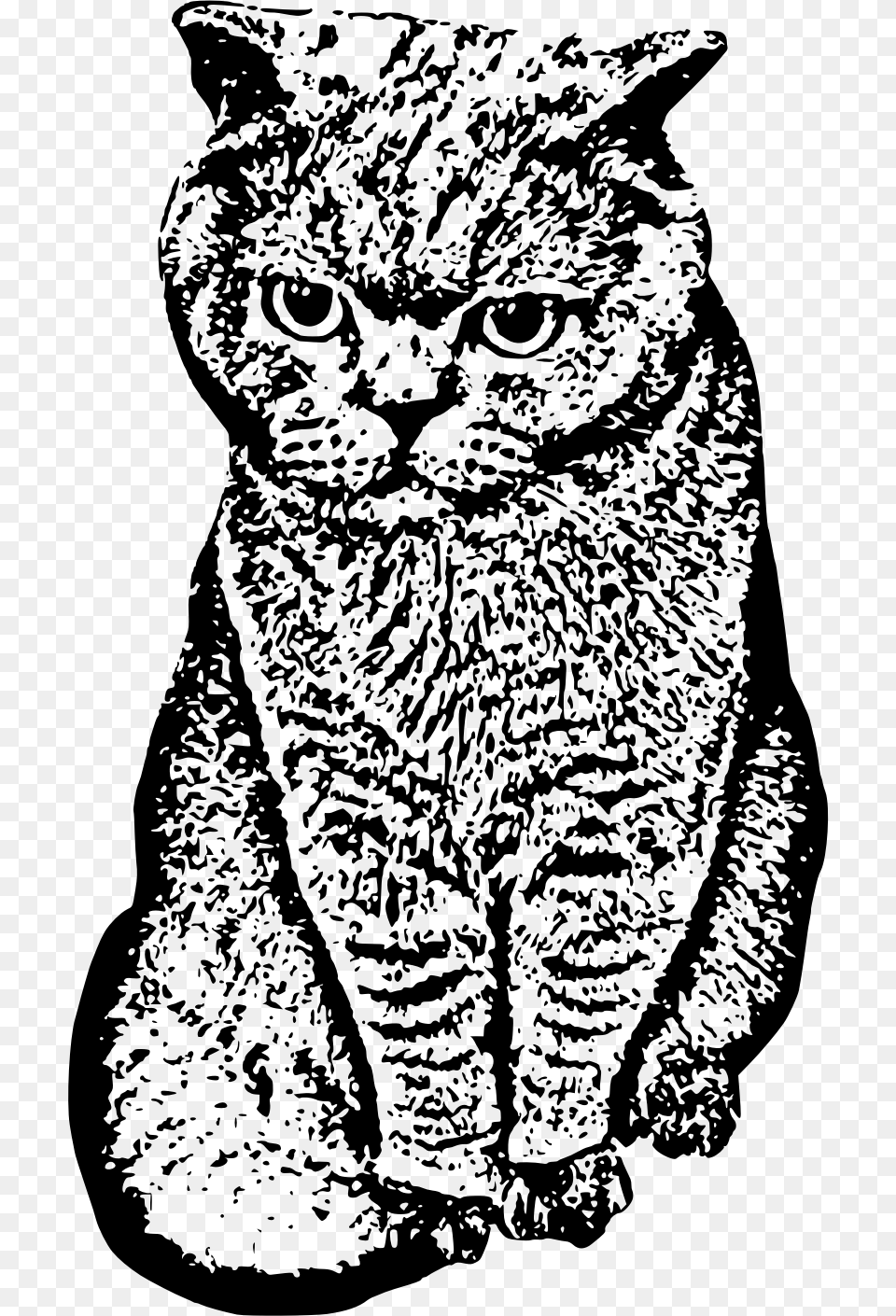 Cat Face, Gray Free Transparent Png