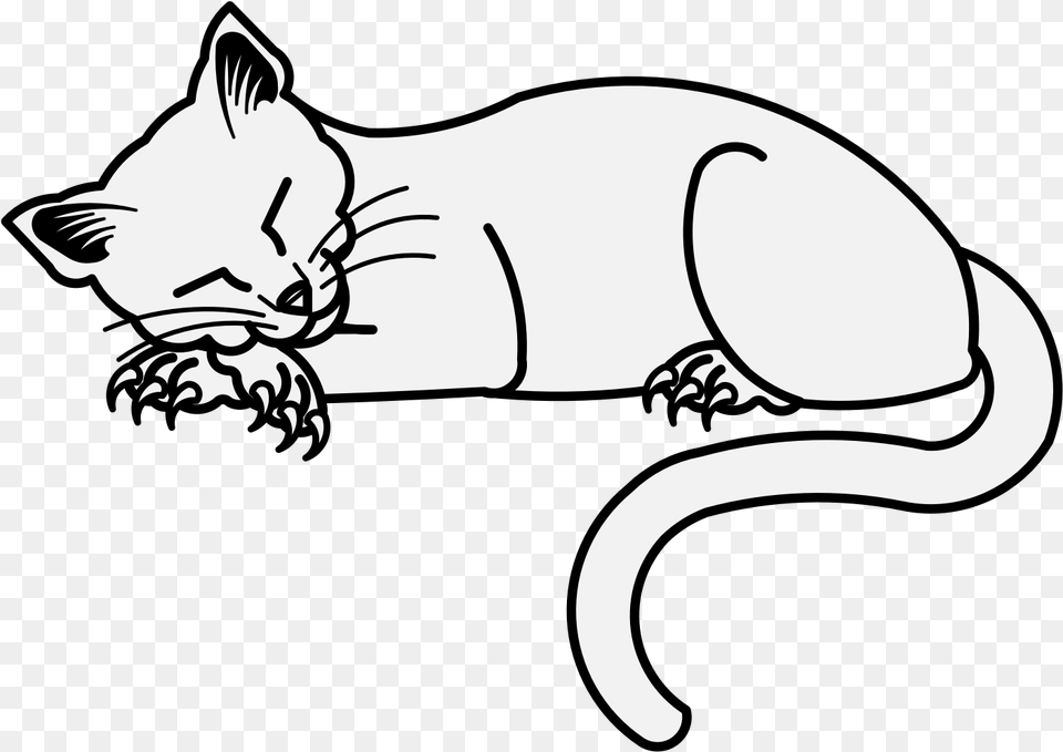 Cat Nose Cartoon, Stencil, Animal, Mammal, Pet Free Transparent Png